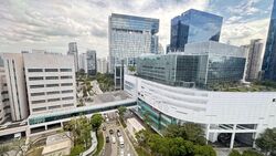 Mount Elizabeth Novena Hospital (D12), Retail #503373201